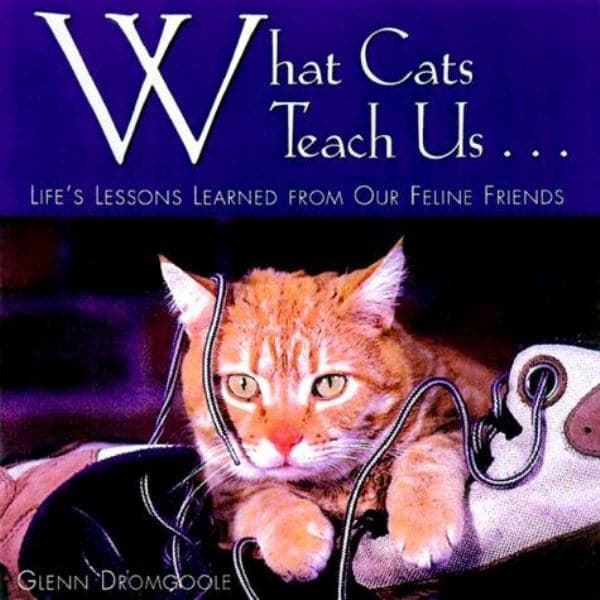 Cover of What Cats Teach Us...