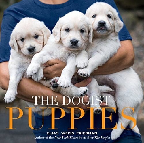 Cover of The Dogist Puppies