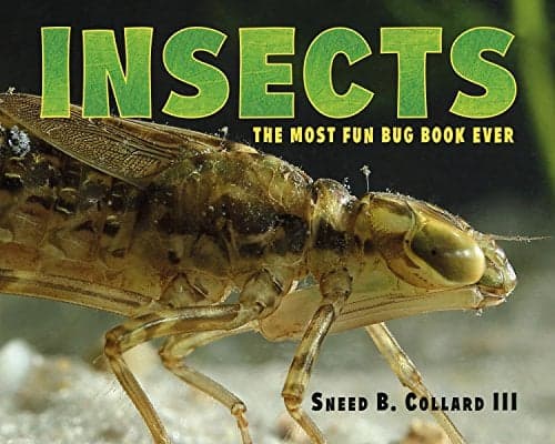 Cover of Insects: The Most Fun Bug Book Ever
