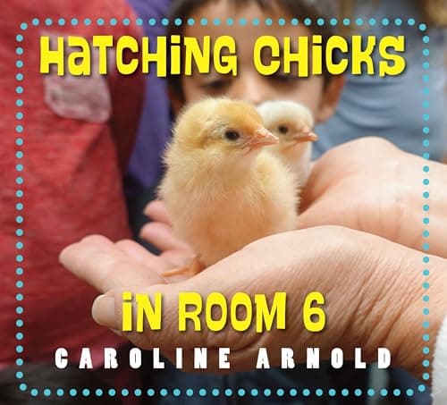 Cover of Hatching Chicks in Room 6 (Life Cycles in Room 6)