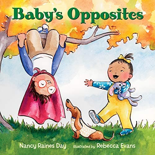 Cover of Baby's Opposites