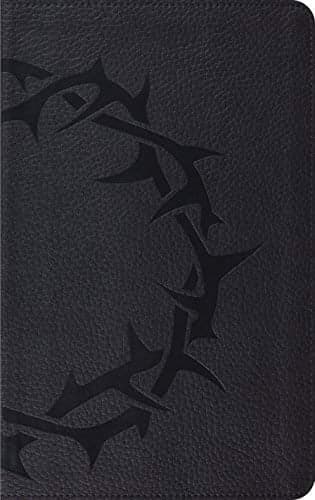 Cover of ESV Thinline Bible (TruTone, Charcoal, Crown Design)