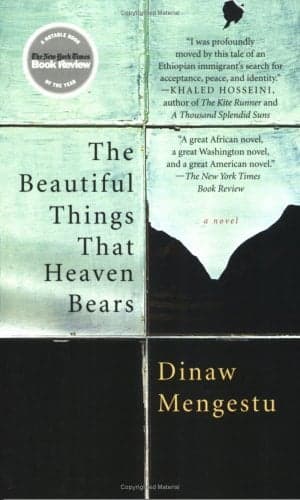 Cover of The Beautiful Things That Heaven Bears