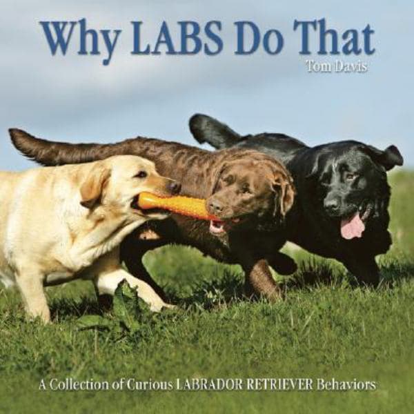 Cover of Why Labs Do That