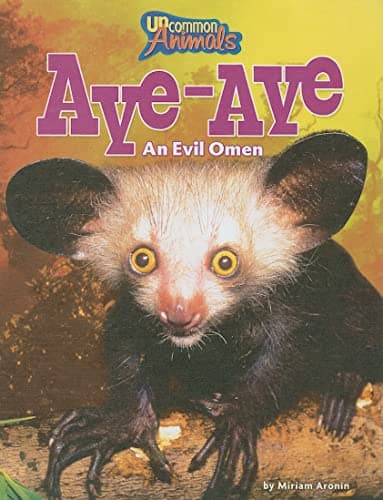 Cover of Aye Aye: An Evil Omen (Uncommon Animals)