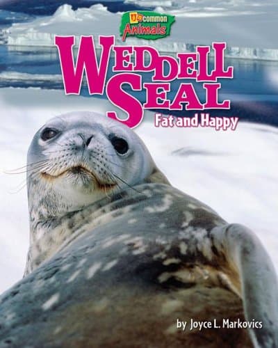 Cover of Weddell Seal: Fat and Happy (Uncommon Animals)