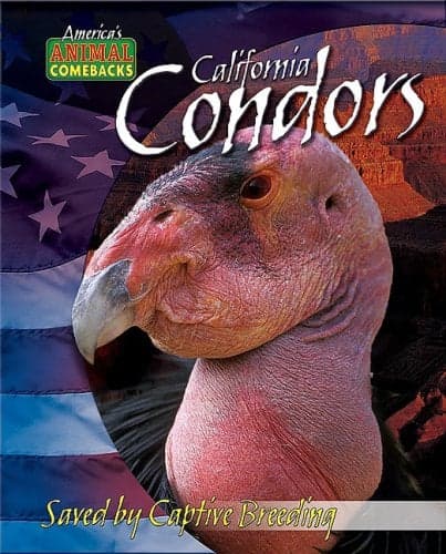 Cover of California Condors: Saved by Captive Breeding (America's Animal Comebacks)