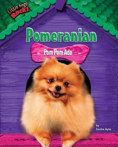 Cover of Pomeranian: Pom Pom Ado (Little Dogs Rock!)