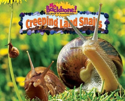 Cover of Creeping Land Snails (No Backbone! The World of Invertebrates)