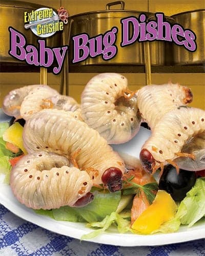 Cover of Baby Bug Dishes (Extreme Cuisine)