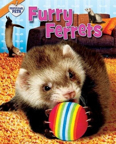 Cover of Furry Ferrets (Peculiar Pets)