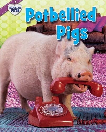 Cover of Potbellied Pigs (Peculiar Pets)