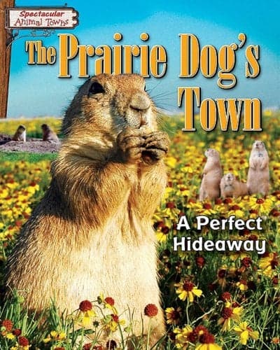 Cover of The Prairie Dog's Town: A Perfect Hideaway (Spectacular Animal Towns)
