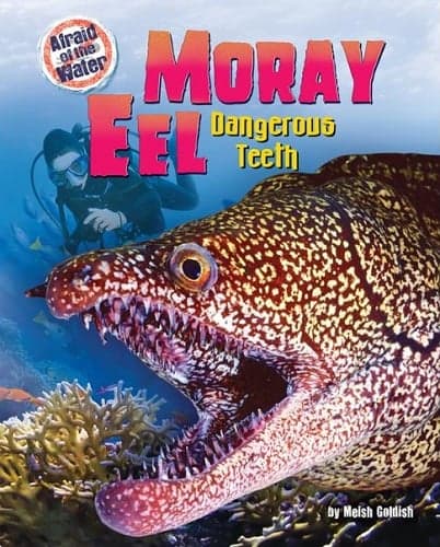 Cover of Moray Eel: Dangerous Teeth (Afraid of the Water)