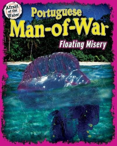 Cover of Portuguese Man-Of-War: Floating Misery (Afraid of the Water)