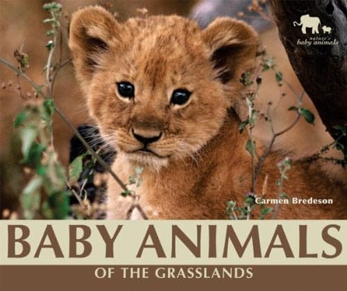 Cover of Baby Animals of the Grasslands (Nature's Baby Animals)