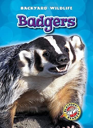Cover of Badgers (Backyard Wildlife, Blastoff! Readers, Level 1)