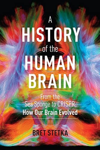 Cover of A History of the Human Brain: From the Sea Sponge to CRISPR, How Our Brain Evolved