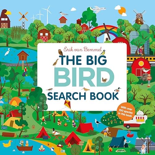Cover of The Big Bird Search Book