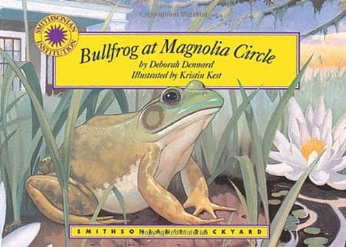 Cover of Bullfrog at Magnolia Circle (Smithsonian Backyard)