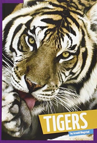 Cover of Tigers (Wild Cats)
