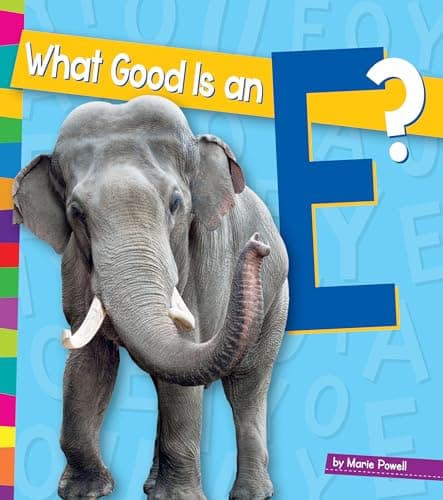 Cover of What Good Is an E? (Vowels, Amicus Readers)