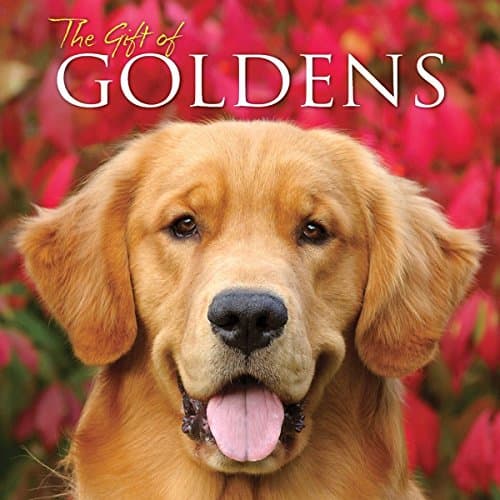 Cover of The Gift of Goldens