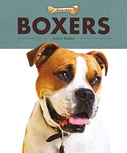 Cover of Boxers (Fetch!)