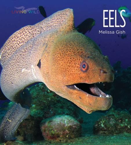 Cover of Eels (Living Wild)