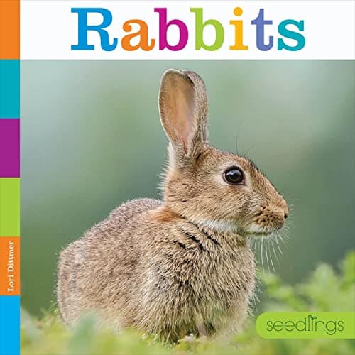 Cover of Rabbits (Seedlings)
