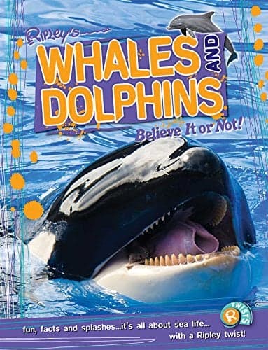 Cover of Whales and Dolphins (Ripley Twists)