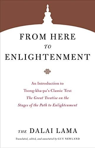 Cover of From Here to Enlightenment