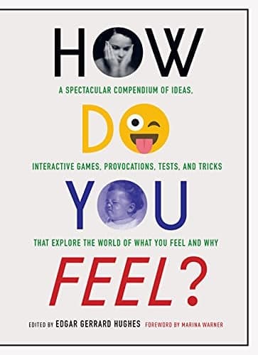 Cover of How Do You Feel? A Spectacular Compendium of Ideas, Interactive Games, Provocations, Tests, and Tricks That Explore the World of What You Feel and Why