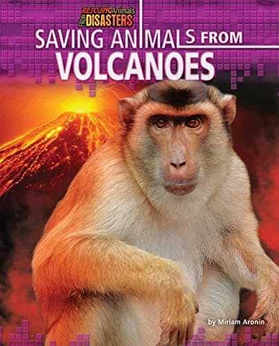 Cover of Saving Animals From Volcanoes (Rescuing Animals From Disasters)