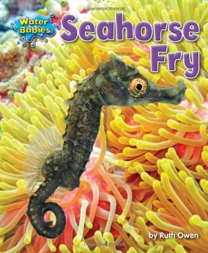 Cover of Seahorse Fry (Water Babies)