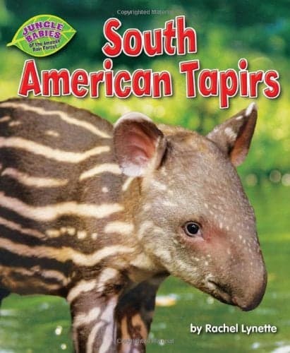 Cover of South American Tapirs (Jungle Babies of the Amazon Rain Forest)
