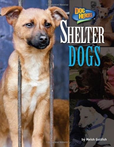 Cover of Shelter Dogs (Dog Heroes)