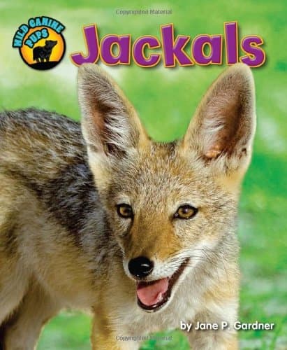 Cover of Jackals (Wild Canine Pups)