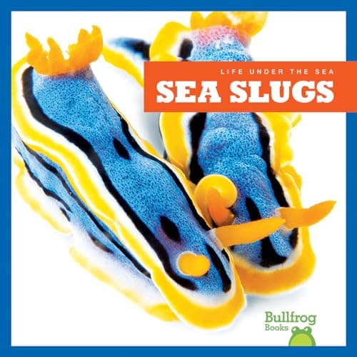 Cover of Sea Slugs (Life Under the Sea)
