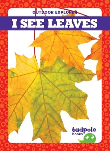 Cover of I See Leaves (Outdoor Explorer)