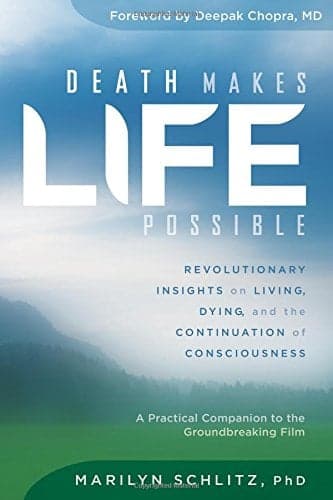 Cover of Death Makes Life Possible: Revolutionary Insights on Living, Dying, and the Continuation of Consciousness
