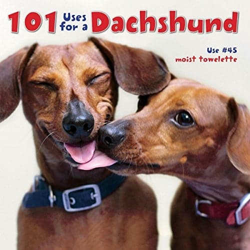 Cover of 101 Uses for a Dachshund