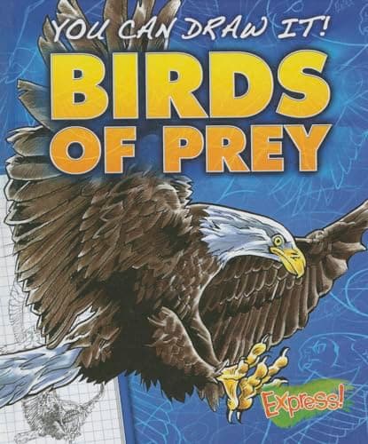 Cover of Birds of Prey (You Can Draw It!)
