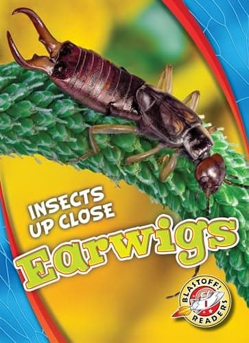 Cover of Earwigs (Insects Up Close, Blastoff! Readers)