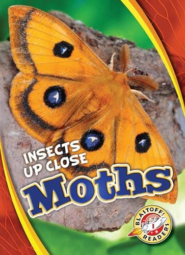 Cover of Moths (Insects Up Close, Blastoff! Readers, Level 1)