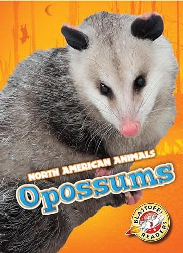 Cover of Opossums (North American Animals, Blastoff! Readers, Level 3)