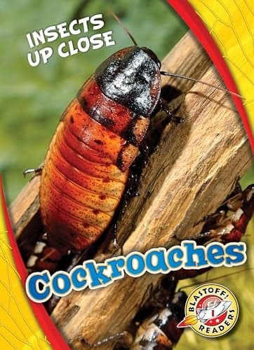Cover of Cockroaches (Insects Up Close, Blastoff! Readers, Level 1)