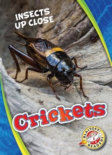 Cover of Crickets (Insects Up Close, Blastoff! Readers)
