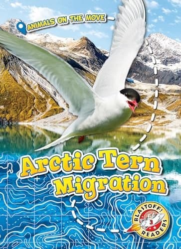Cover of Arctic Tern Migration (Animals on the Move, Blastoff! Readers, Level 3)