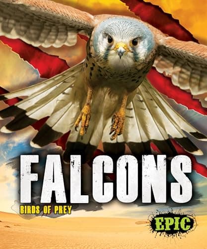 Cover of Falcons (Birds of Prey)